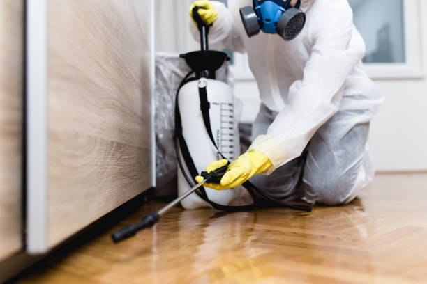 Best Cockroach Control Services  in Fairway, KS