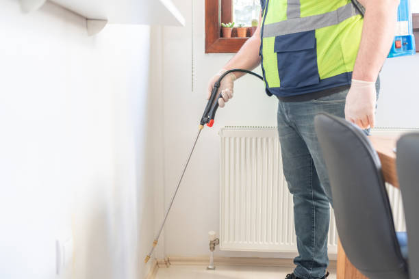 Best Affordable Pest Control Services  in Fairway, KS