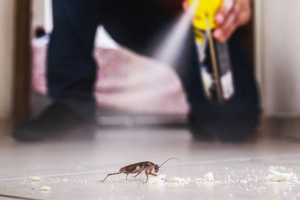 Best Pest Removal Services  in Fairway, KS