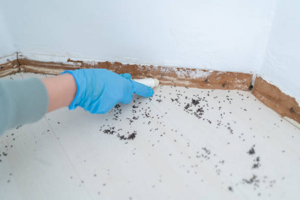 Best Wildlife Control Services  in Fairway, KS