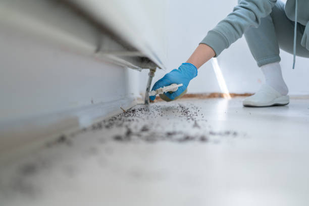 Best Exterminator Services  in Fairway, KS