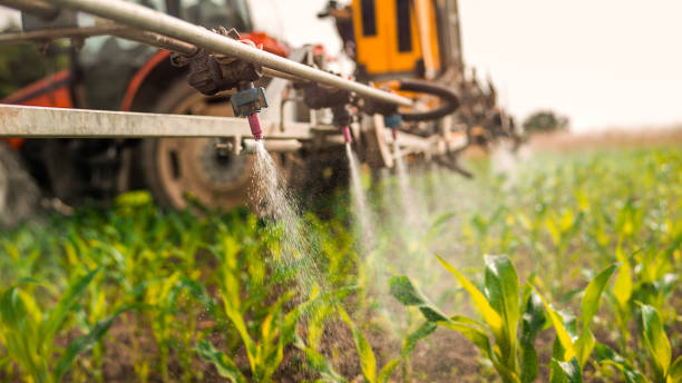Best Commercial Pest Control Services  in Fairway, KS